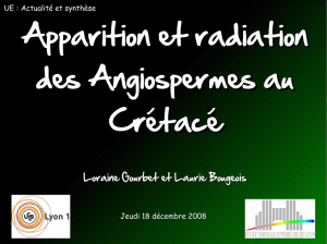Apparition et radiation des Angiospermes au Cretace