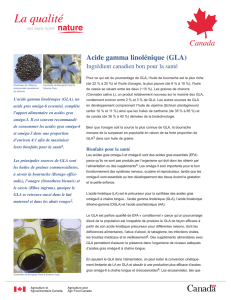 Acide gamma linolénique (GLA)