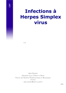 Infections à Herpes Simplex virus