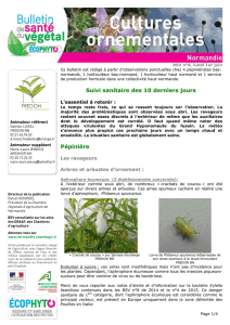 BSV Horticulture Normandie N°8 du 1er juin 2015