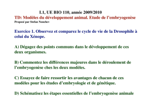 TD Biologie Développement animal