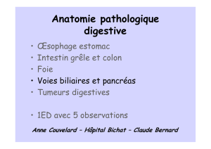L3 Digestif VB et pancréas final 2012 - Cours L3 Bichat 2012-2013