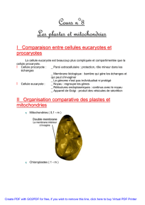 Cours n°8 Les plastes et mitochondries