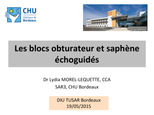 Blocs saphène et obturateur 2015 Dr Lydia Morel-Lequette