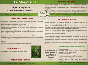 La Marjolaine - Autour des plantes