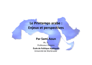 Présentation de Sami Aoun