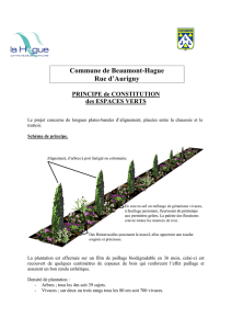 note plantation rue d`Aurigny pdf de 651 Ko