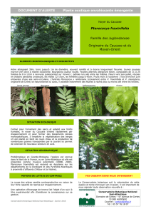 Document d`alerte Pterocarya fraxinifolia