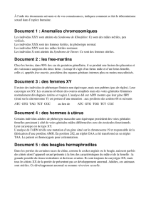 Document 1 : Anomalies chromosomiques Document 2 : les