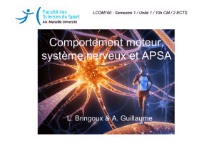 Comportement moteur, système nerveux et APSA