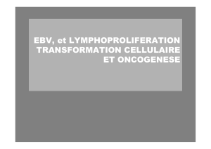 EBV, et LYMPHOPROLIFERATION TRANSFORMATION