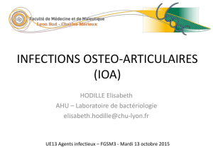 Physiopathologie des infections osseuses à Staphylococcus