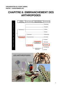 OVA - C8 - Arthropodes PDF.c