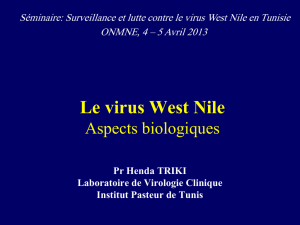 Diagnostic Assays for the Detection of West Nile Virus Infection