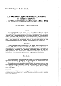 Les Opilions Cyphophthalmes (Arachnida) de la faune ibérique: 1