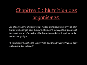 Cours 4e - II UTILISATION NUTRIMENTS