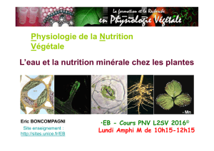 Cours 1-2 PNV