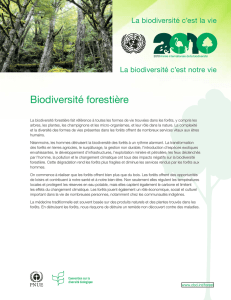 Biodiversité forestière