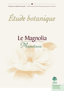 Le Magnolia Le Magnolia