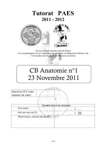 CCB d`Anatomie n°1 23_11_2011 SUJET