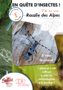 Rosalie des Alpes