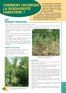 comment favoriser la biodiversité forestière