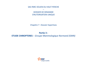 Partie 3 : ETUDE CHIROPTERES – Groupe Mammologique