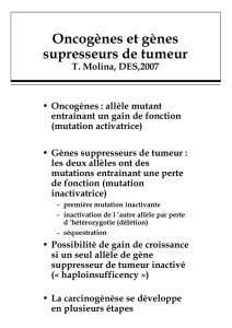 oncogenes 2007