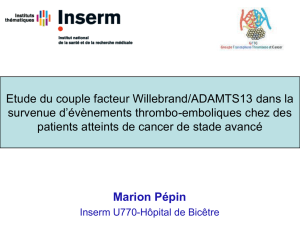 Pepin 2013 - Groupe Francophone thrombose et cancer