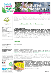 BSV Horticulture Normandie N°4 du 20 avril 2015