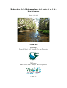 Restauration des habitats aquatiques et riverains de la rivière