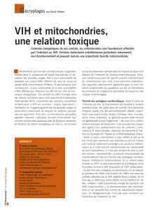 VIH et mitochondries, une relation toxique