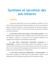 Synthèse et sécrétion des sels biliaires