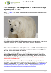 les ours polaires se portent bien malgré la propagande du GIEC