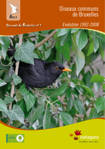 Oiseaux de Bruxelles N° 1 : Les oiseaux communs de