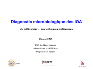 Diagnostic microbiologique des IOA du prélèvement