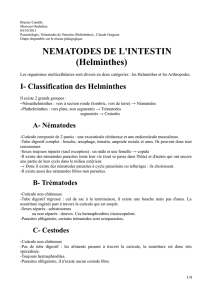 NEMATODES DE L`INTESTIN (Helminthes)