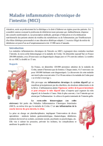 Maladie inflammatoire chronique de l`intestin (MICI)