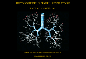 Histologie de l`appareil respiratoire - P2 Bichat 2010-2011