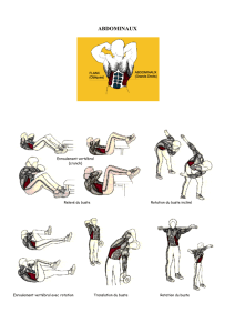 musculation: exercices