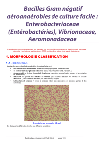 taxonomie bactérienne BASE