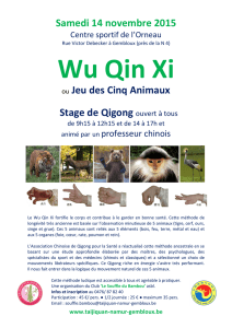 2015-11-14 affiche stage Wu Qin Xi Propositon 8
