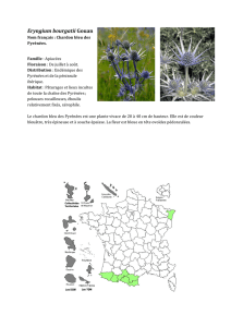 Calendrier de floraison - No.6 - Jardin botanique alpin «Flore-Alpe