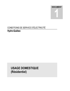 Document no. 1 sur les conditions de service d`électricité