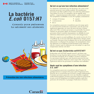 La bactére E. coli 0157:H7 - Publications du gouvernement du