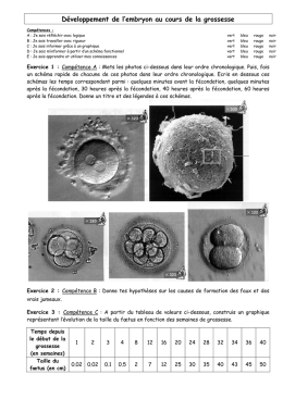 rencontre gametes debut grossesse