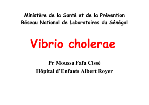 Vibrio cholerae - Direction des laboratoires