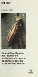 Guide d`identification des insectes qui s`attaquent la luzerne de