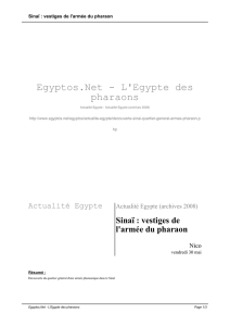Sinaï : vestiges de l`armée du pharaon