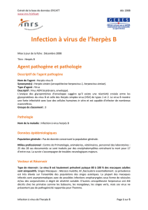 Infection à virus de l`herpès B